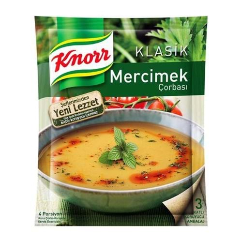 LENTIL SOUP