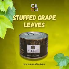 STUFFED GRAPE LEAVES