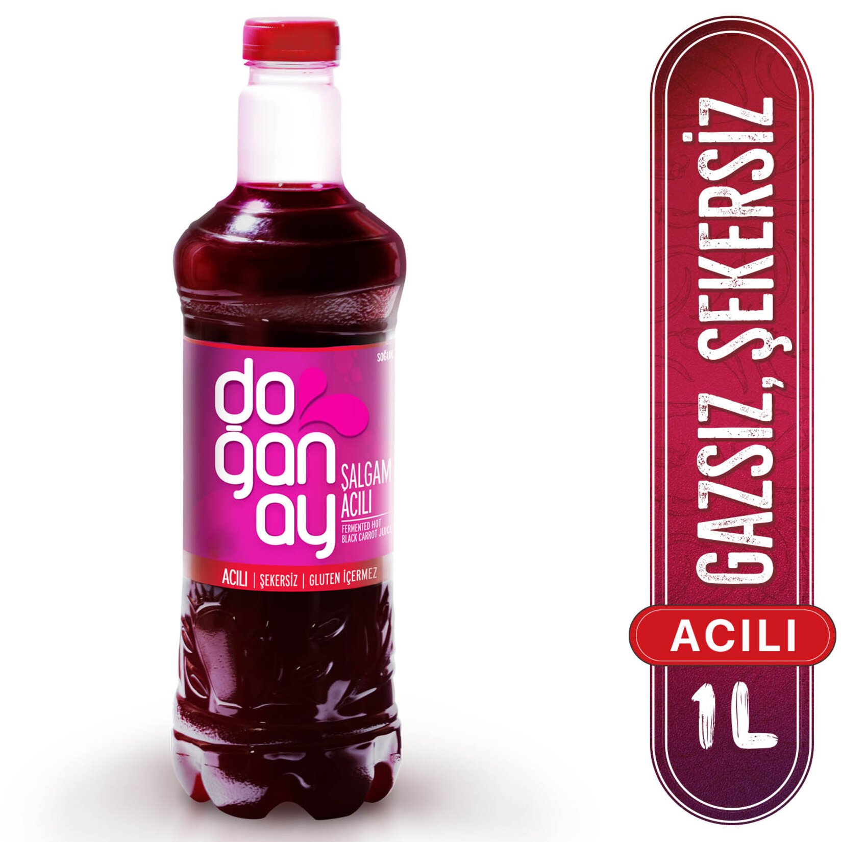 DOGANAY SALGAM HOT 1L