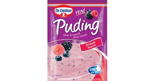 DR OETKER FRUIT PUDING